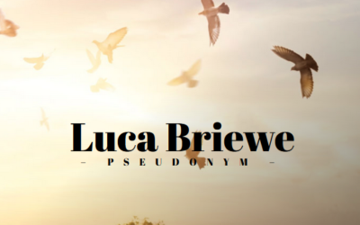 Hörtext von Luca Briewe